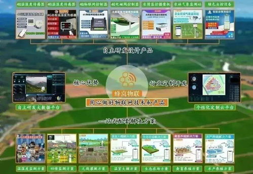 四情监测系统助力三明沙县智慧茶园科学管控 提产增效 物联网技术服务